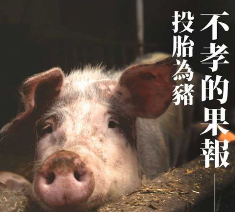 不孝順父母的因果報應